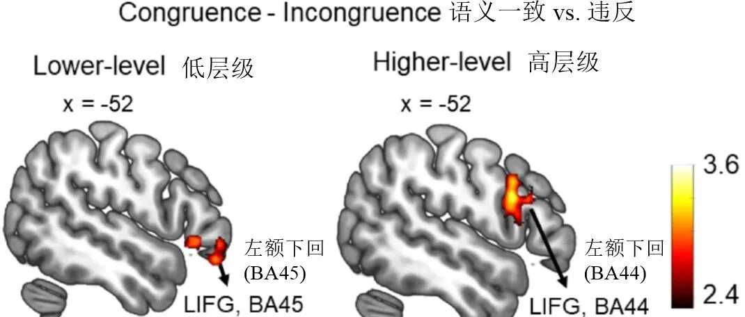 New Advances in Cognitive Neurolinguistics! SISU Research Team Reveals the Neural Mechanisms of Hierarchical Semantic Processing